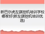 新巴尔虎左旗挖机培训学校哪家好(新左旗挖机培训优选)