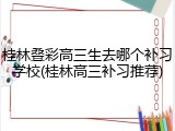 桂林叠彩高三生去哪个补习学校(桂林高三补习推荐)