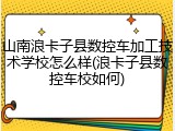 山南浪卡子县数控车加工技术学校怎么样(浪卡子县数控车校如何)