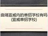 曲靖宣威内的单招学校有吗(宣威单招学校)