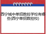 西宁城中单招数控学校有哪些(西宁单招数控校)