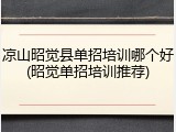 凉山昭觉县单招培训哪个好(昭觉单招培训推荐)