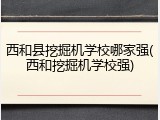 西和县挖掘机学校哪家强(西和挖掘机学校强)