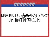 柳州柳江县精品补习学校地址(柳江补习校址)