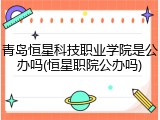 青岛恒星科技职业学院是公办吗(恒星职院公办吗)