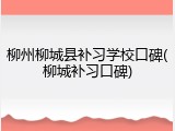 柳州柳城县补习学校口碑(柳城补习口碑)