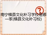 南宁横县文化补习学校是哪一家(横县文化补习校)