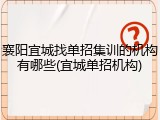 襄阳宜城找单招集训的机构有哪些(宜城单招机构)