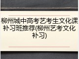 柳州城中高考艺考生文化课补习班推荐(柳州艺考文化补习)