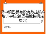 汉中镇巴县有没有数控机床培训学校(镇巴县数控机床培训)
