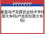 秦皇岛卢龙县农业技术学校是大专吗(卢龙农校是大专吗)