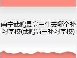 南宁武鸣县高三生去哪个补习学校(武鸣高三补习学校)