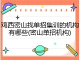 鸡西密山找单招集训的机构有哪些(密山单招机构)