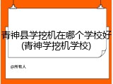 青神县学挖机在哪个学校好(青神学挖机学校)