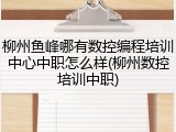 柳州鱼峰哪有数控编程培训中心中职怎么样(柳州数控培训中职)