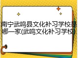 南宁武鸣县文化补习学校是哪一家(武鸣文化补习学校)