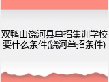 双鸭山饶河县单招集训学校要什么条件(饶河单招条件)