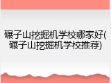 碾子山挖掘机学校哪家好(碾子山挖掘机学校推荐)