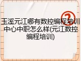 玉溪元江哪有数控编程培训中心中职怎么样(元江数控编程培训)
