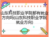 山东科技职业学院都有就业方向吗(山东科技职业学院就业方向)