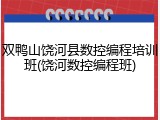 双鸭山饶河县数控编程培训班(饶河数控编程班)
