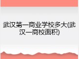 武汉第一商业学校多大(武汉一商校面积)