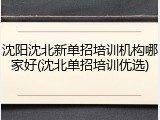 沈阳沈北新单招培训机构哪家好(沈北单招培训优选)
