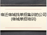 宿迁宿城找单招集训的公司(宿城单招培训)