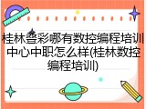 桂林叠彩哪有数控编程培训中心中职怎么样(桂林数控编程培训)