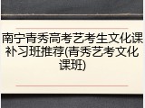 南宁青秀高考艺考生文化课补习班推荐(青秀艺考文化课班)
