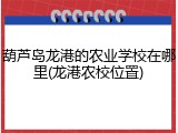 葫芦岛龙港的农业学校在哪里(龙港农校位置)
