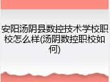 安阳汤阴县数控技术学校职校怎么样(汤阴数控职校如何)