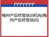 梅州产后修复培训机构(梅州产后修复培训)