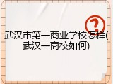 武汉市第一商业学校怎样(武汉一商校如何)