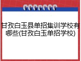 甘孜白玉县单招集训学校有哪些(甘孜白玉单招学校)