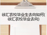 徐汇农校毕业生去向如何(徐汇农校毕业去向)