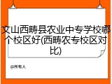文山西畴县农业中专学校哪个校区好(西畴农专校区对比)