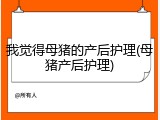 我觉得母猪的产后护理(母猪产后护理)
