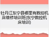 牡丹江东宁县哪里有数控机床维修培训班(东宁数控机床培训)