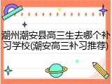 潮州潮安县高三生去哪个补习学校(潮安高三补习推荐)