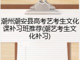 潮州潮安县高考艺考生文化课补习班推荐(潮艺考生文化补习)