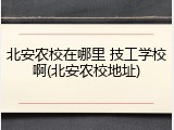 北安农校在哪里 技工学校啊(北安农校地址)