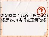 阿勒泰青河县农业职高录取线是多少(青河农职录取线)