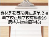 锡林郭勒苏尼特左旗单招培训学校正规学校有那些(苏尼特左旗单招学校)