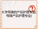 大学母猪的产后护理专业(母猪产后护理专业)