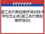 湛江赤坎数控维修培训技术学校怎么样(湛江赤坎数控维修培训)