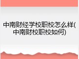 中南财经学校职校怎么样(中南财校职校如何)