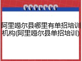 阿里噶尔县哪里有单招培训机构(阿里噶尔县单招培训)