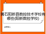 黄石阳新县数控技术学校有哪些(阳新数控学校)