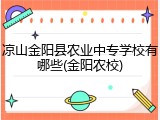 凉山金阳县农业中专学校有哪些(金阳农校)